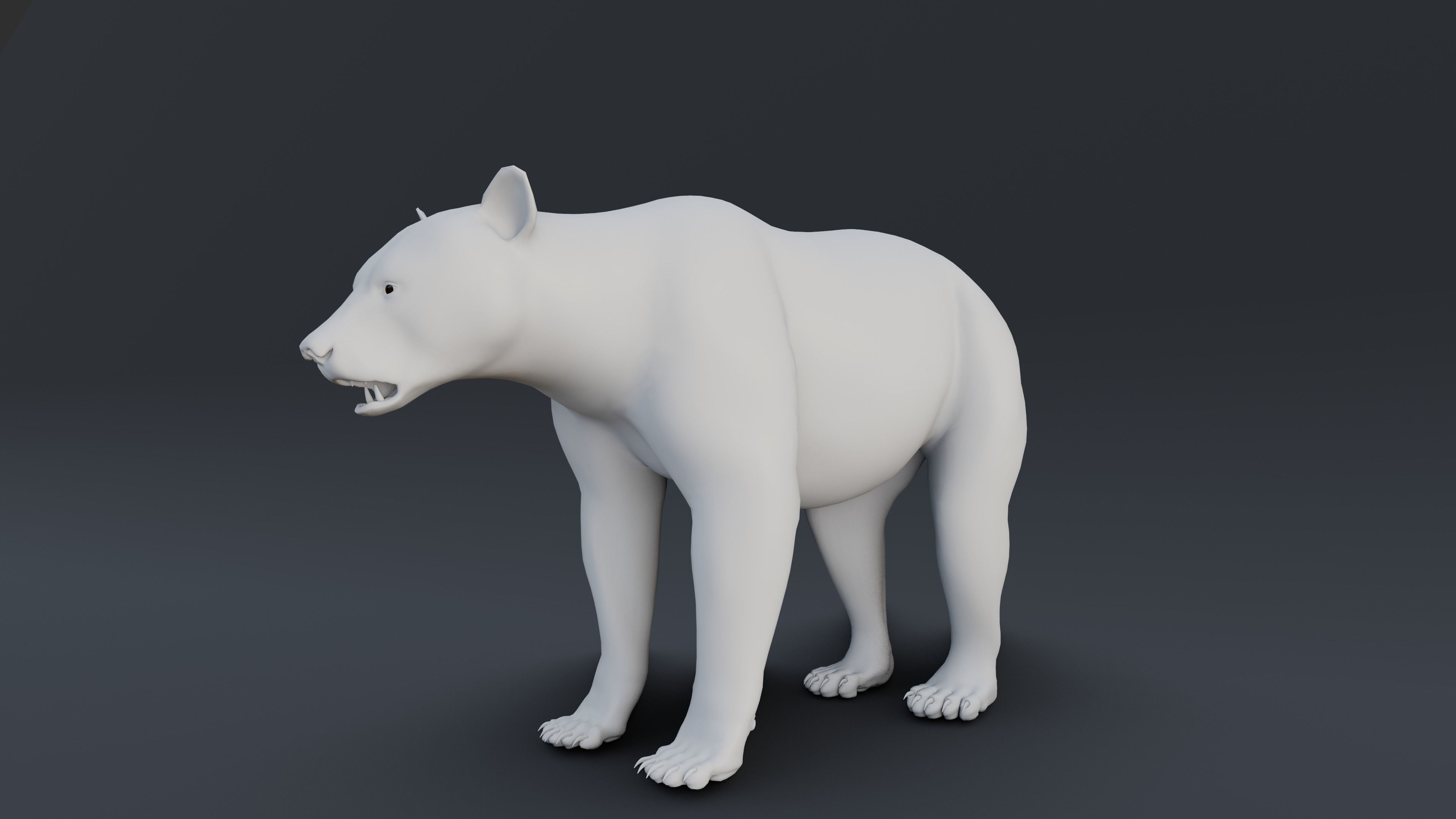 Black Bear 3D model_13