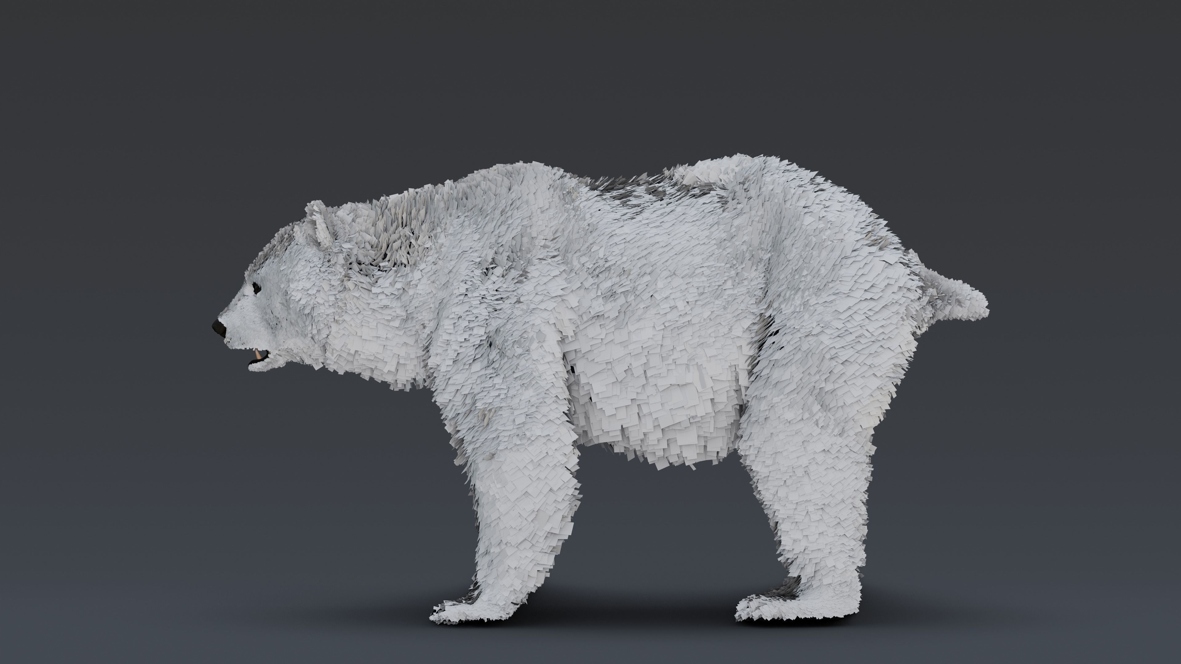 Black Bear 3D model_12