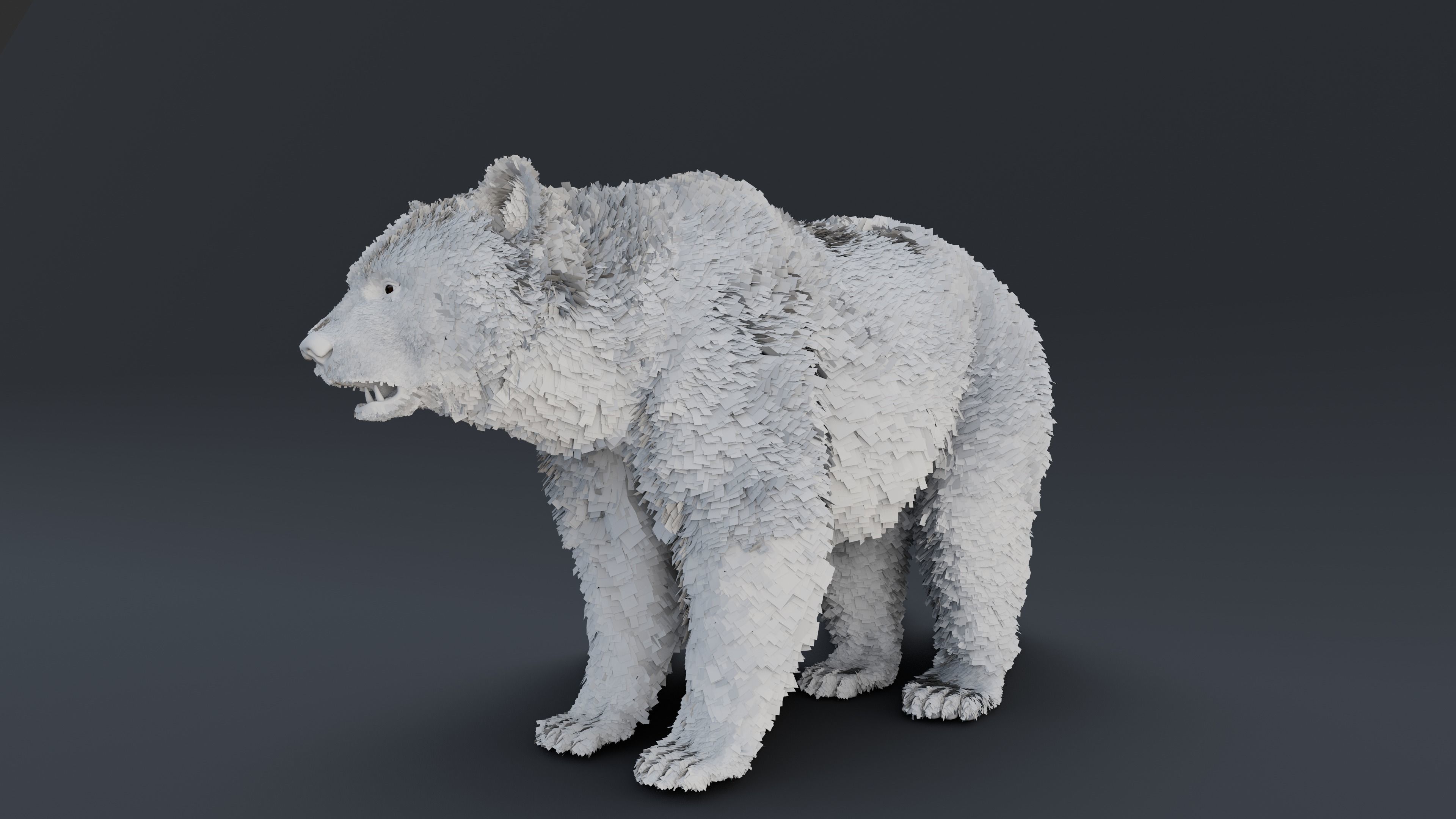 Black Bear 3D model_14