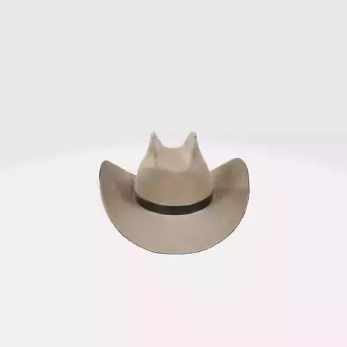 A beige cowboy hat 
