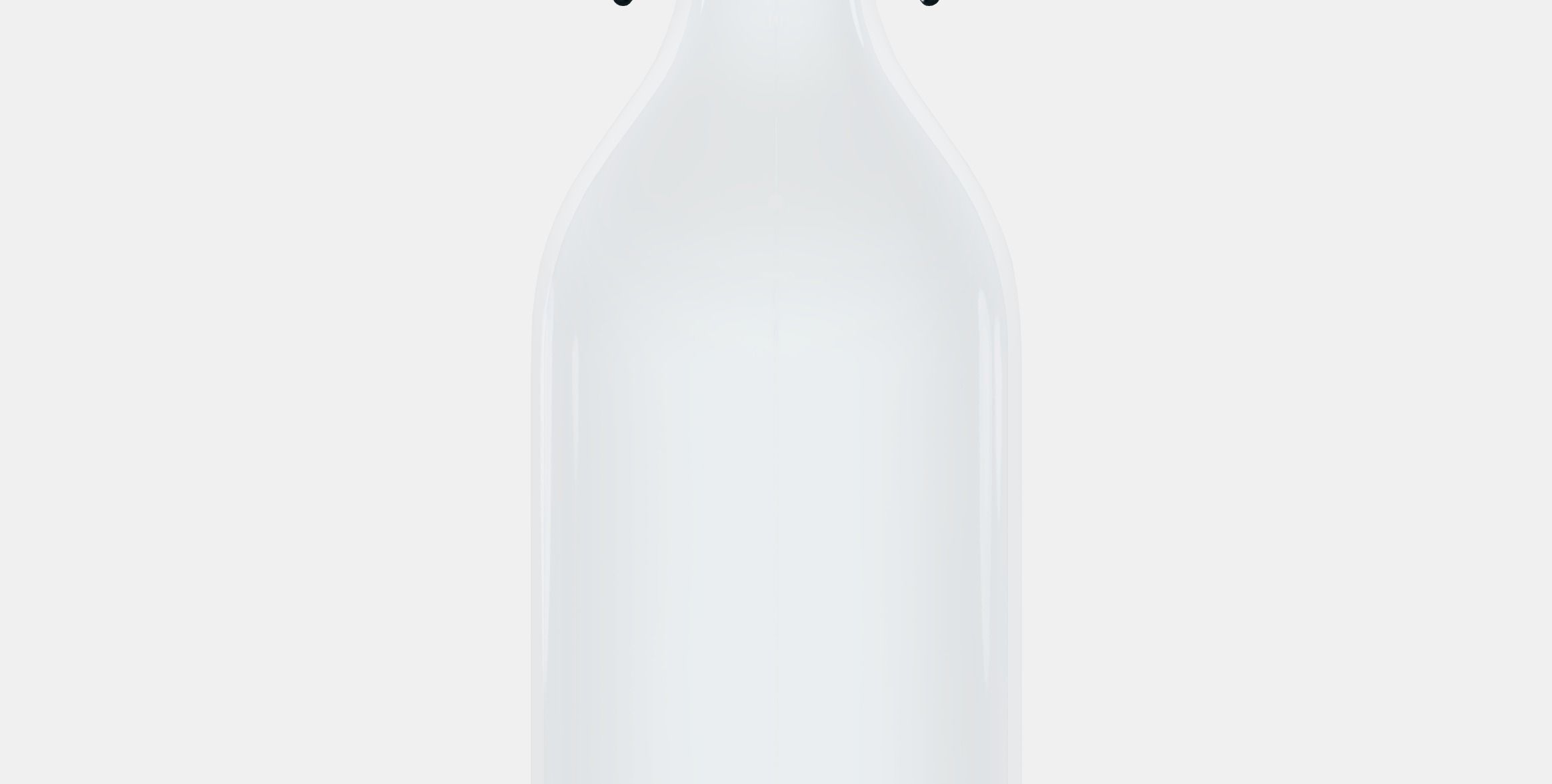 KORKEN Bottle with stopper 1 Low-poly 3D model_11