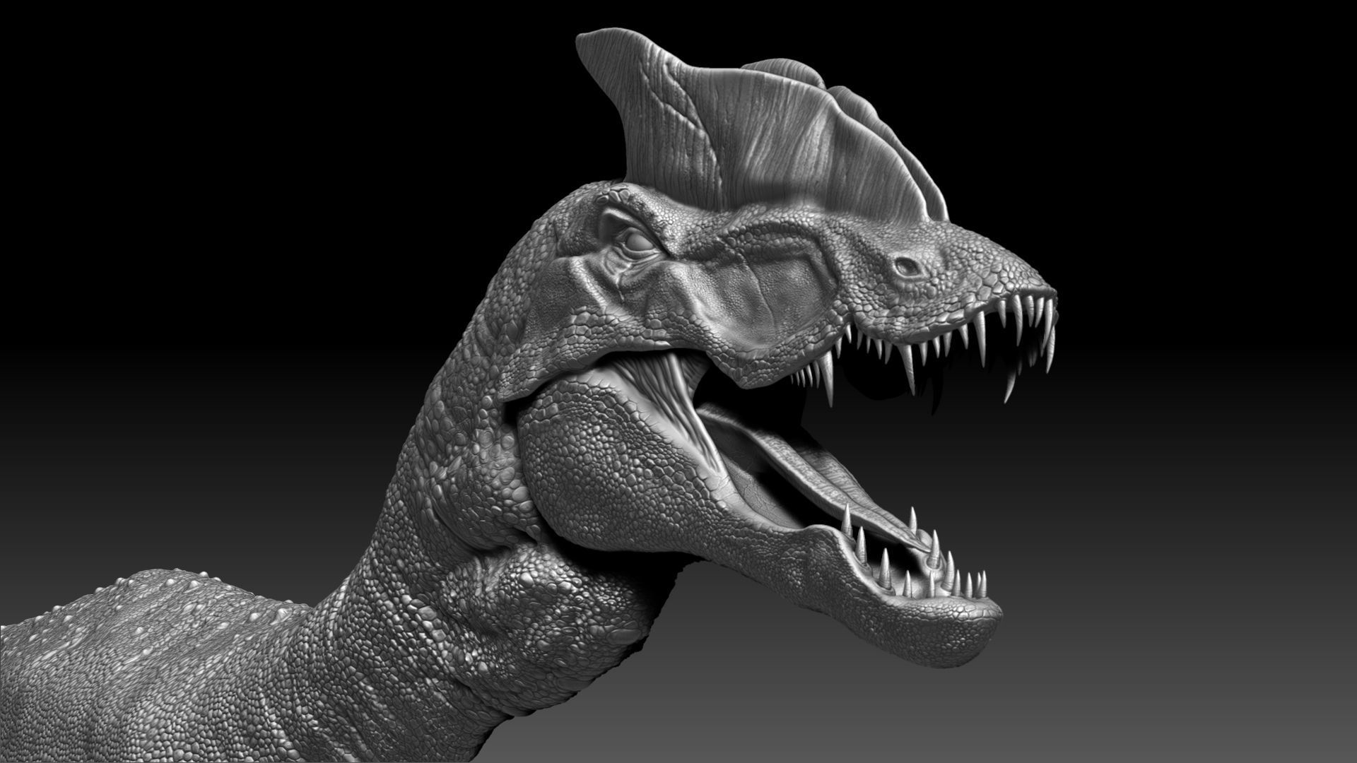 Dinosaur Hybrid Dilophosaurus Sculpt Project 3D model_9