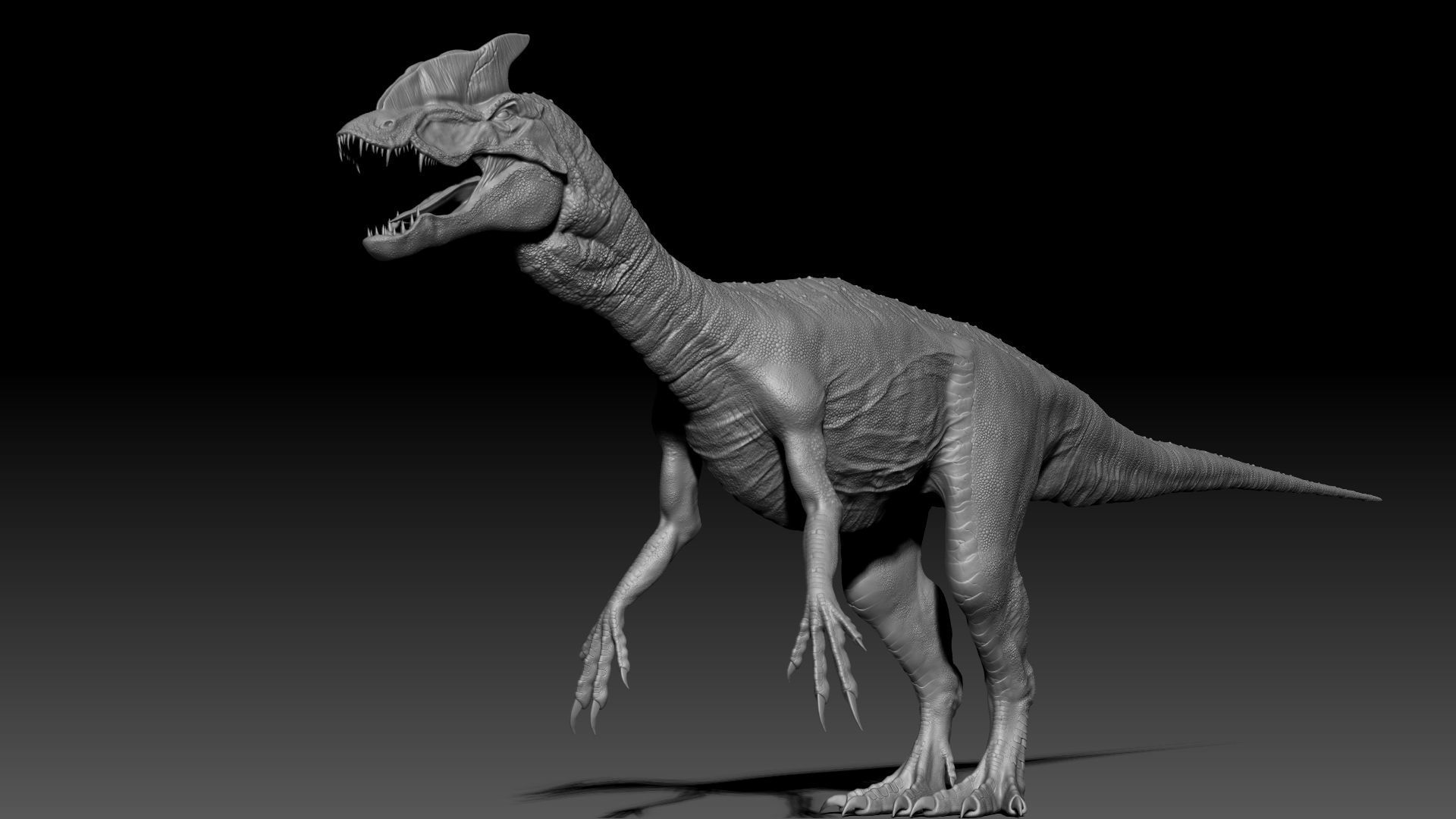 Dinosaur Hybrid Dilophosaurus Sculpt Project 3D model_4