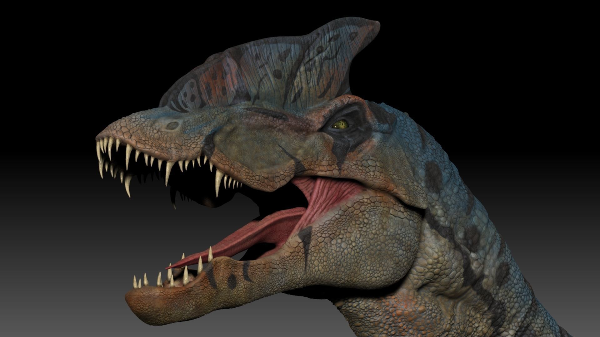 Dinosaur Hybrid Dilophosaurus Sculpt Project 3D model_7