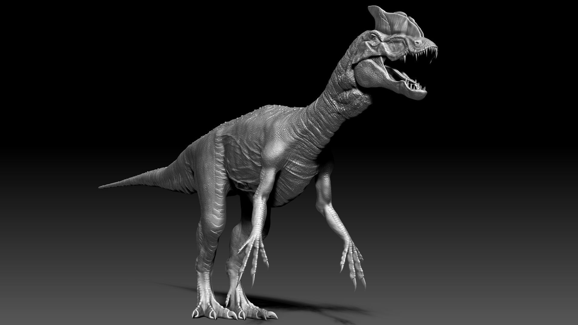 Dinosaur Hybrid Dilophosaurus Sculpt Project 3D model_8