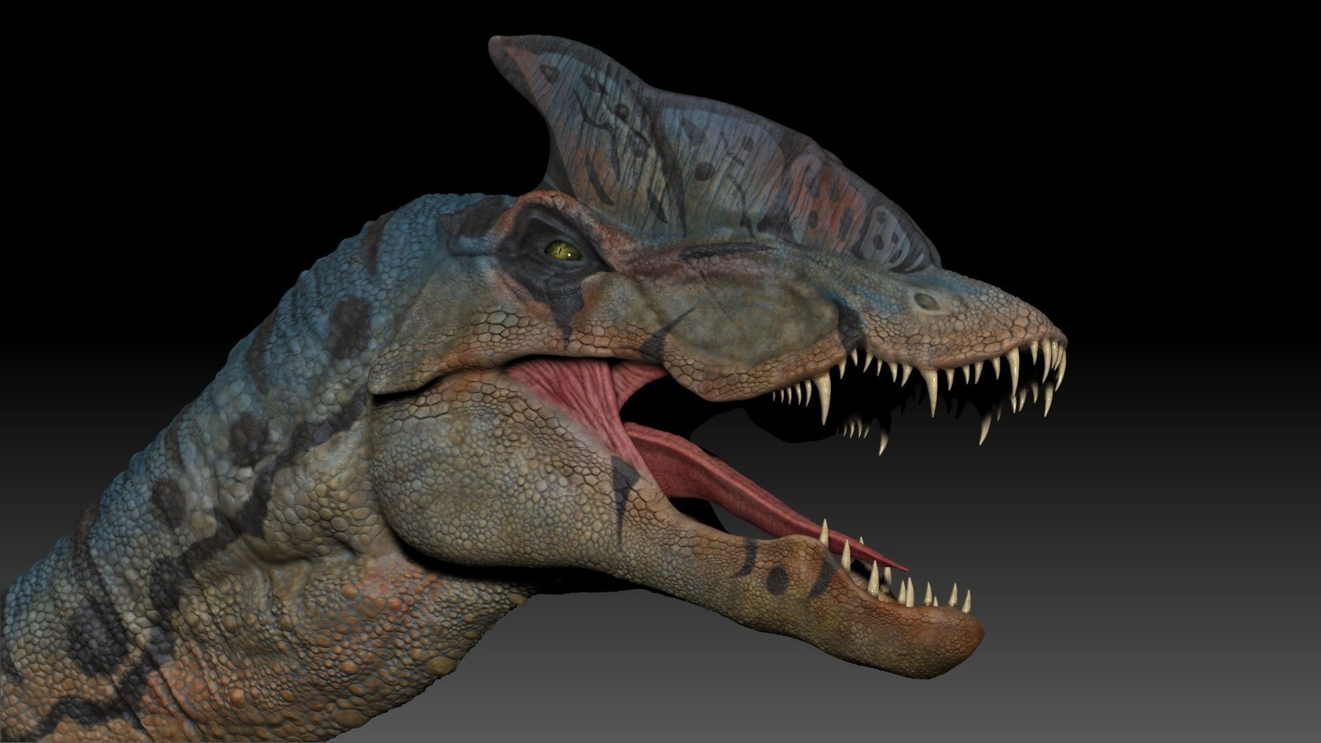 Dinosaur Hybrid Dilophosaurus Sculpt Project 3D model_6