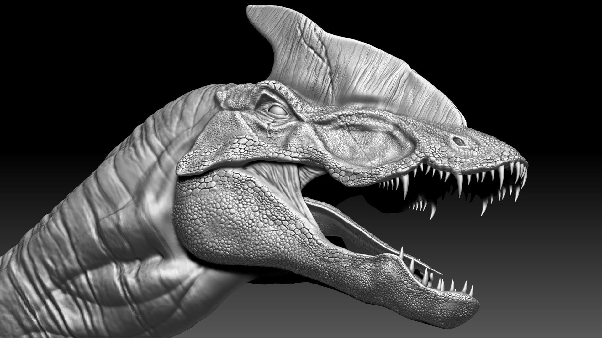 Dinosaur Hybrid Dilophosaurus Sculpt Project 3D model_3