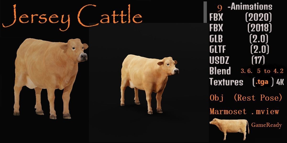 Jersey Cattle Low-poly 3D model_4