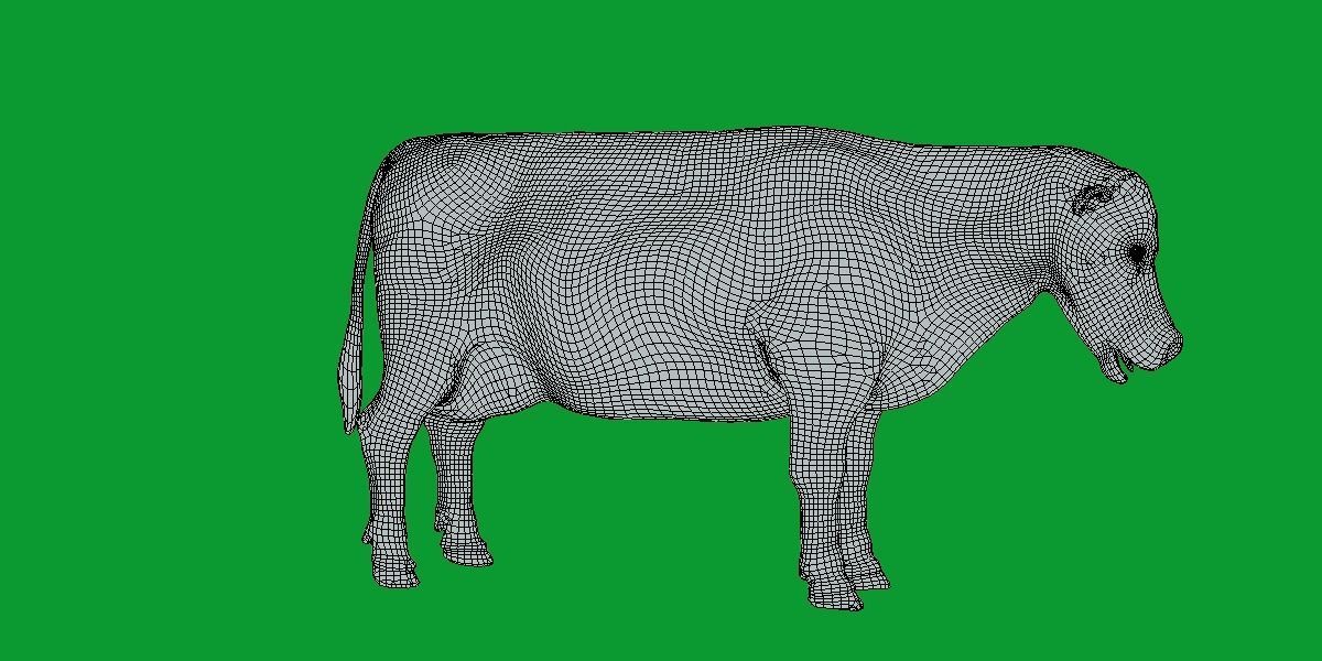 Jersey Cattle Low-poly 3D model_13
