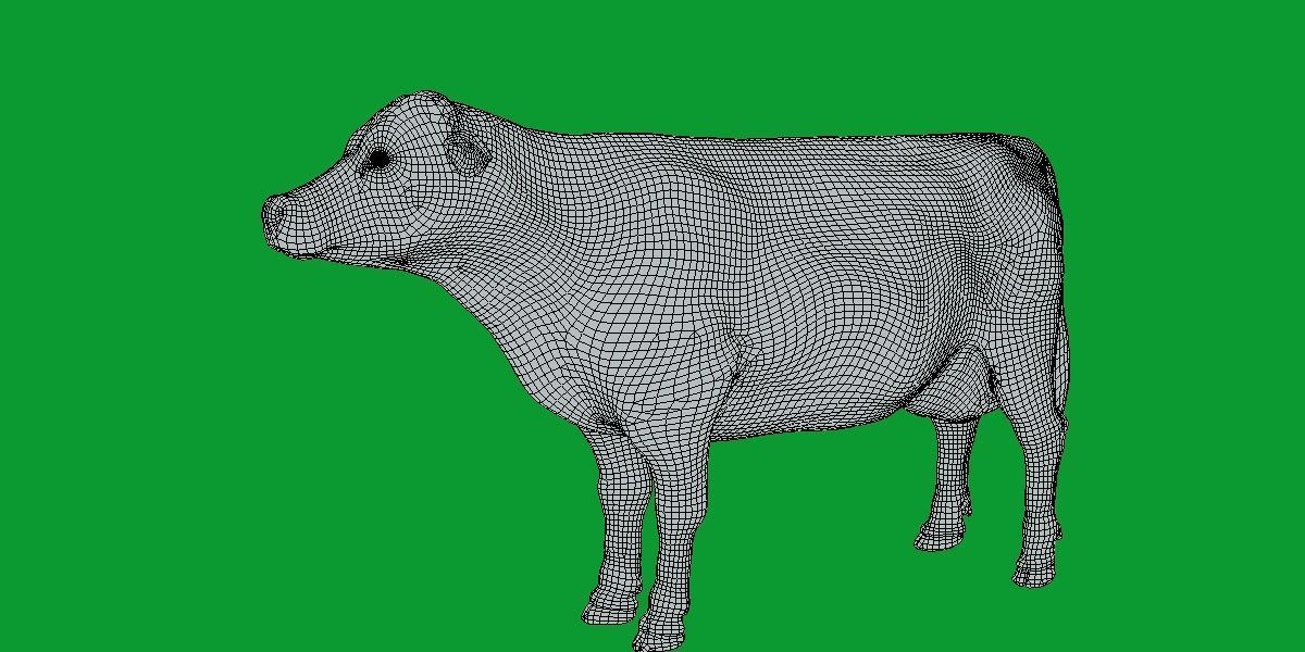 Jersey Cattle Low-poly 3D model_14