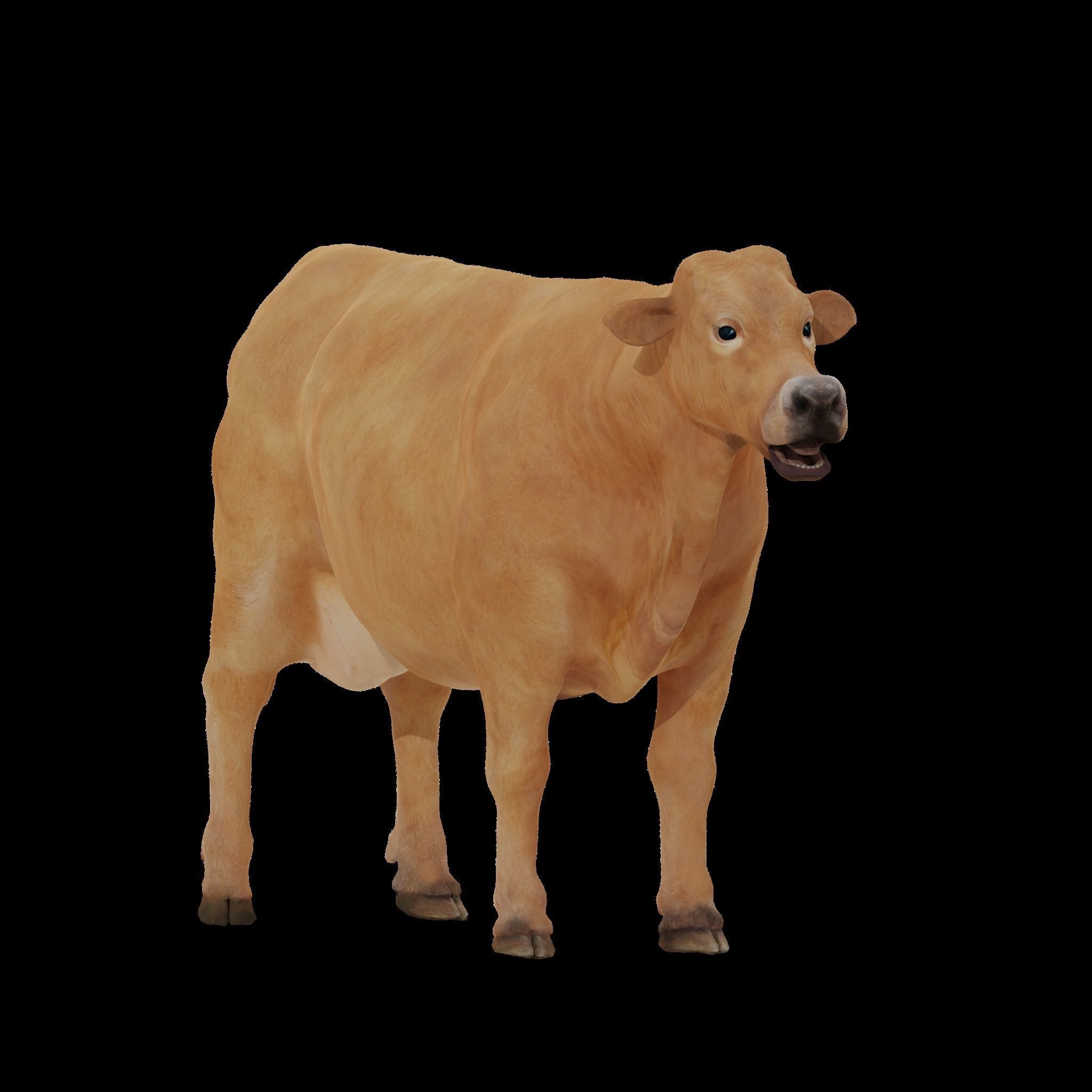 Jersey Cattle Low-poly 3D model_5