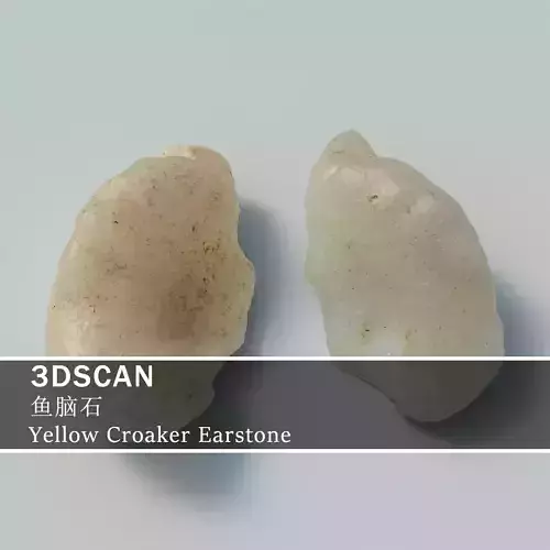 3DSCAN-Traditional Chinese Medicine-Yellow Croaker Earstone Low-poly 3D model