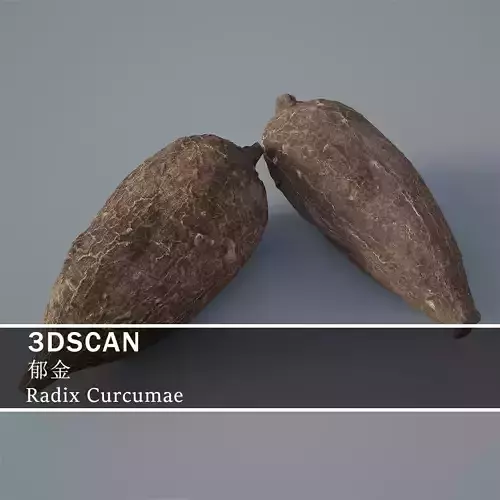 3DSCAN-Traditional Chinese Medicine-Radix Curcumae