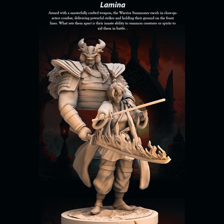 Lamina 3D print model_2