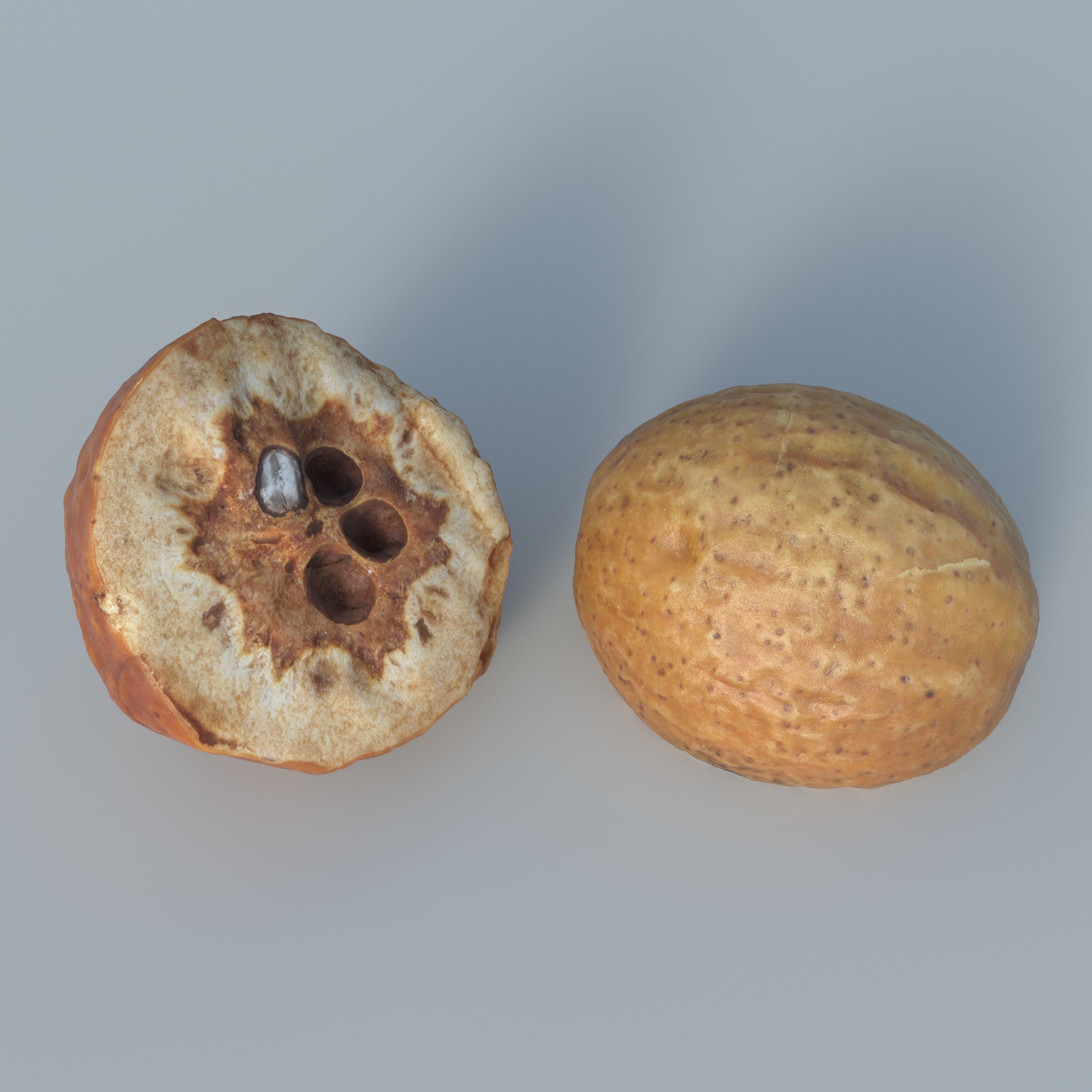 3DSCAN-Traditional Chinese Medicine-Fructus Toosendan Low-poly 3D model_4