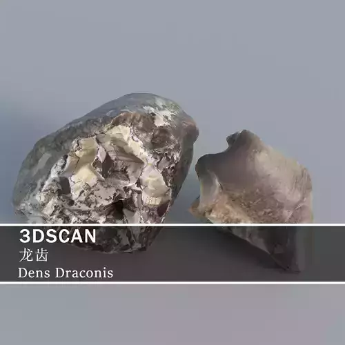 3DSCAN-Traditional Chinese Medicine-Dens Draconis Low-poly 3D model