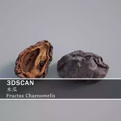 3DSCAN-Traditional Chinese Medicine-Fructus Chaenomelis Low-poly 3D model
