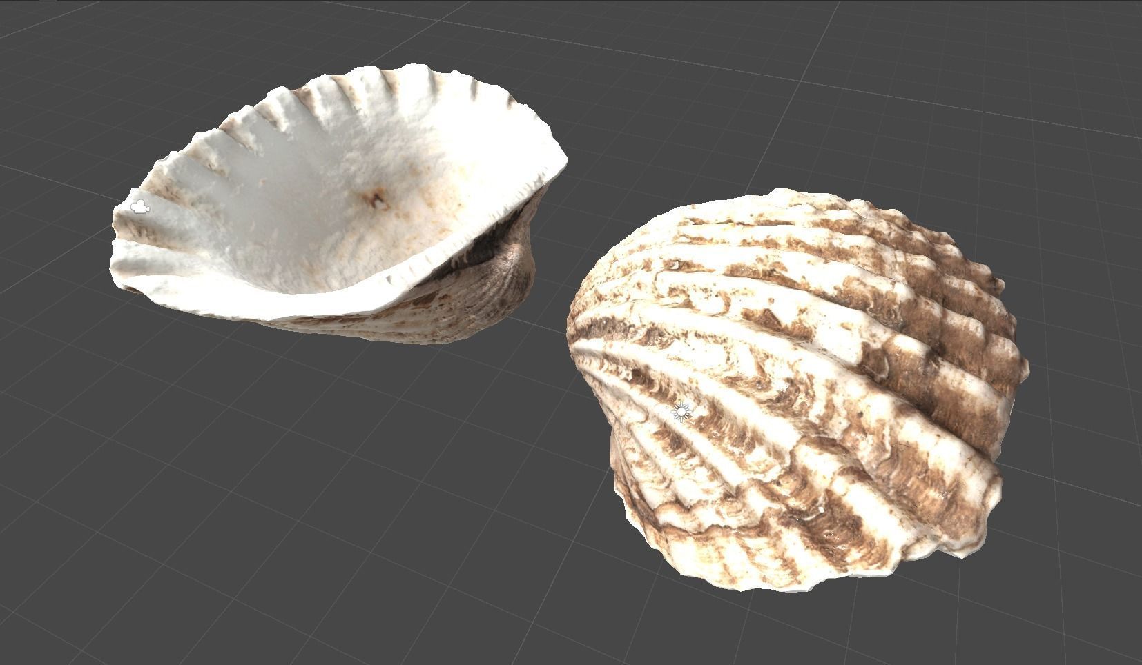 3DSCAN-Traditional Chinese Medicine-Concha Arcae Low-poly 3D model_3