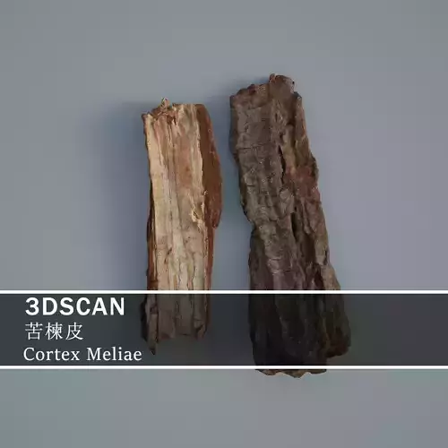 3DSCAN-Traditional Chinese Medicine-Cortex Meliae