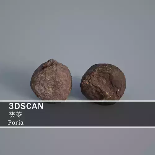 3DSCAN-Traditional Chinese Medicine-Poria