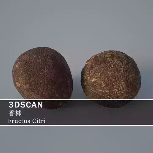 3DSCAN-Traditional Chinese Medicine-Fructus Citri