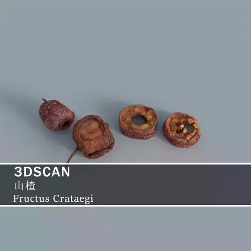 3DSCAN-Traditional Chinese Medicine-Fructus Crataegi