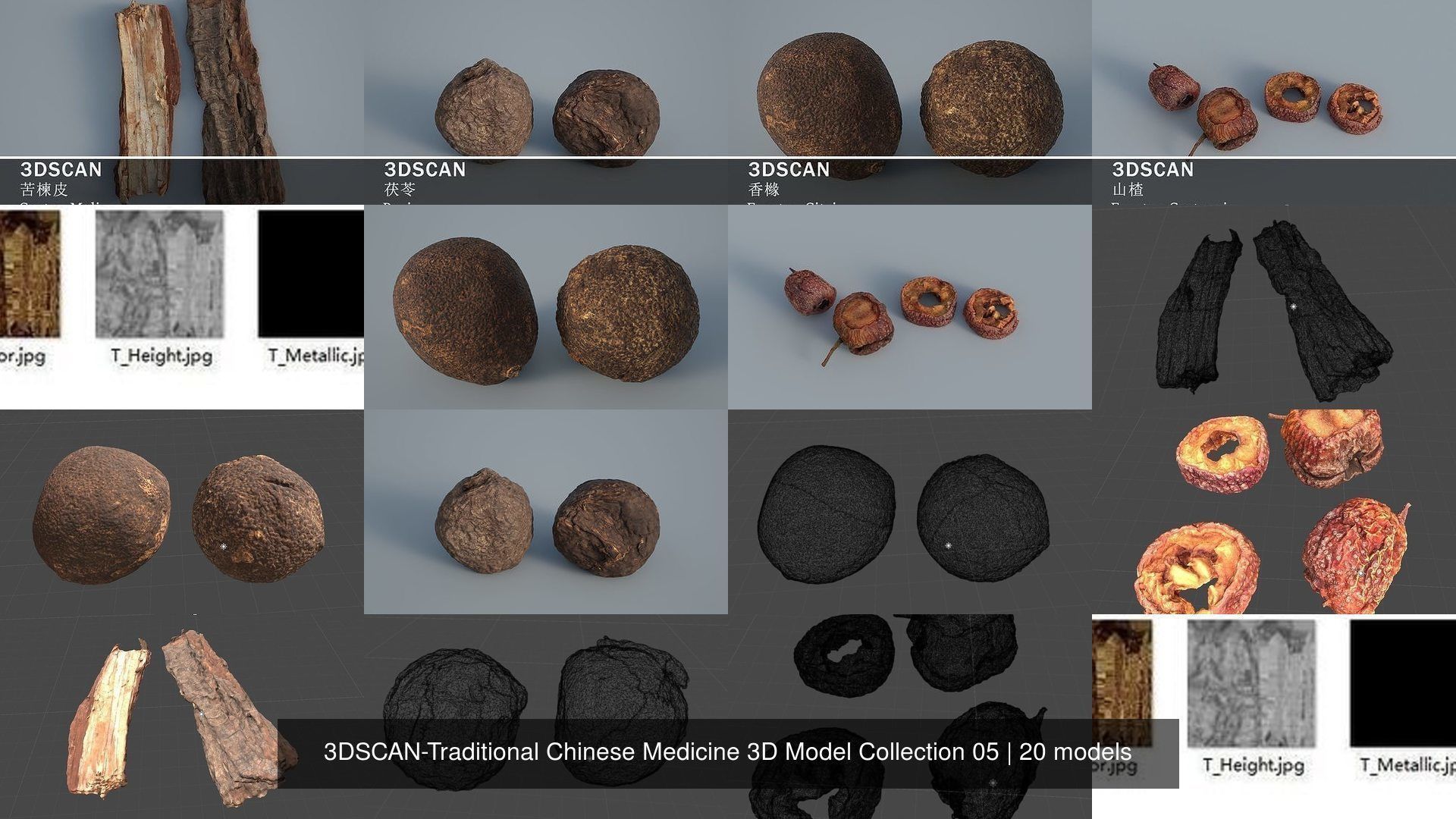 3DSCAN-Traditional Chinese Medicine 3D Model Collection 05 _4