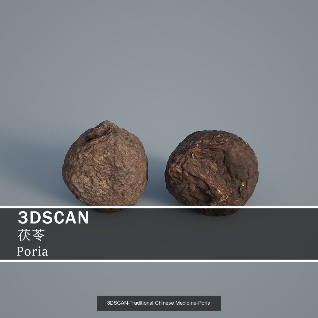 3DSCAN-Traditional Chinese Medicine 3D Model Collection 05 _22