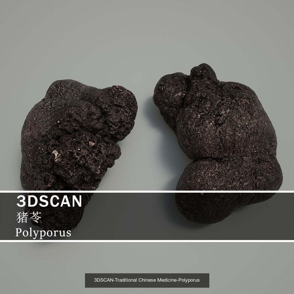 3DSCAN-Traditional Chinese Medicine 3D Model Collection 05 _11