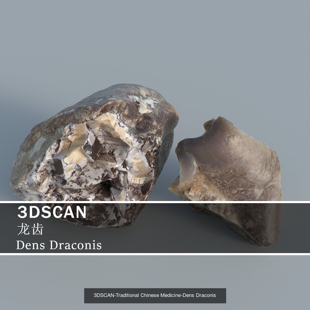 3DSCAN-Traditional Chinese Medicine 3D Model Collection 05 _16