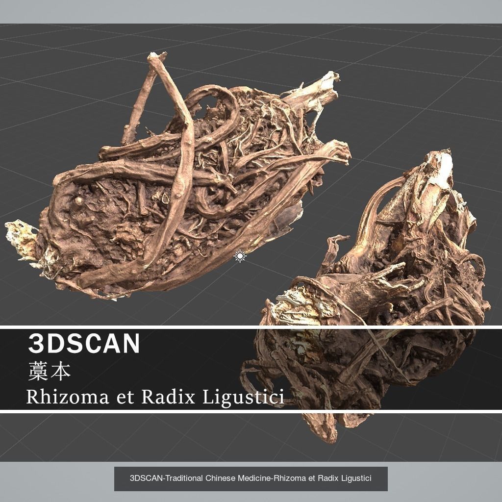 3DSCAN-Traditional Chinese Medicine 3D Model Collection 05 _14