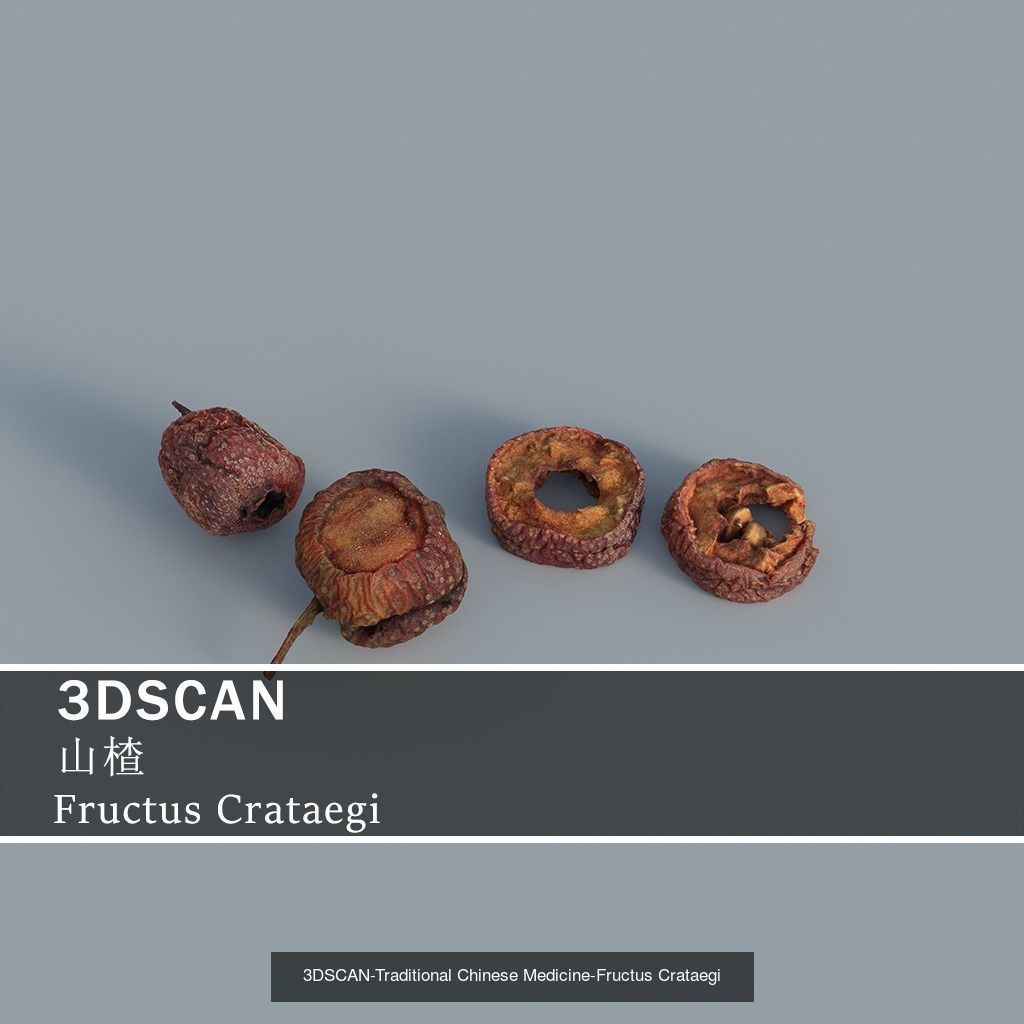3DSCAN-Traditional Chinese Medicine 3D Model Collection 05 _24