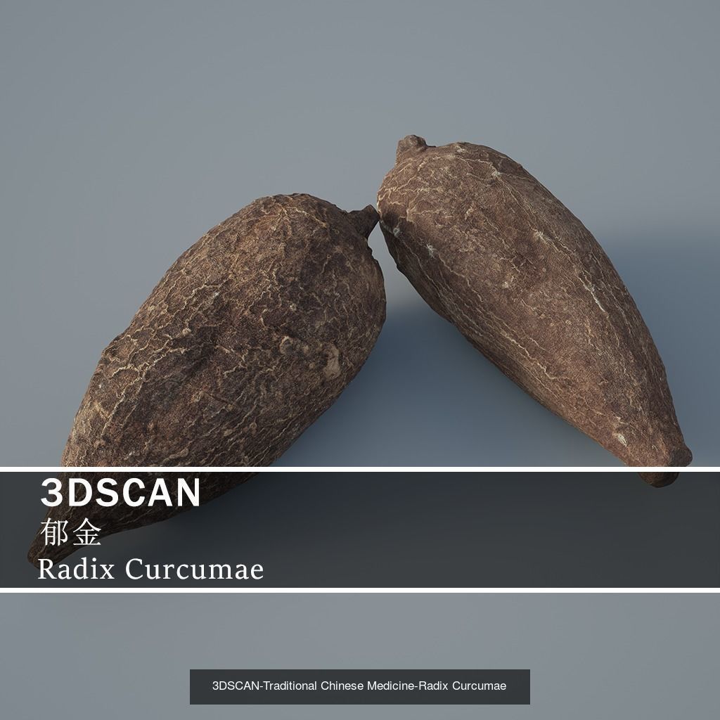 3DSCAN-Traditional Chinese Medicine 3D Model Collection 05 _6