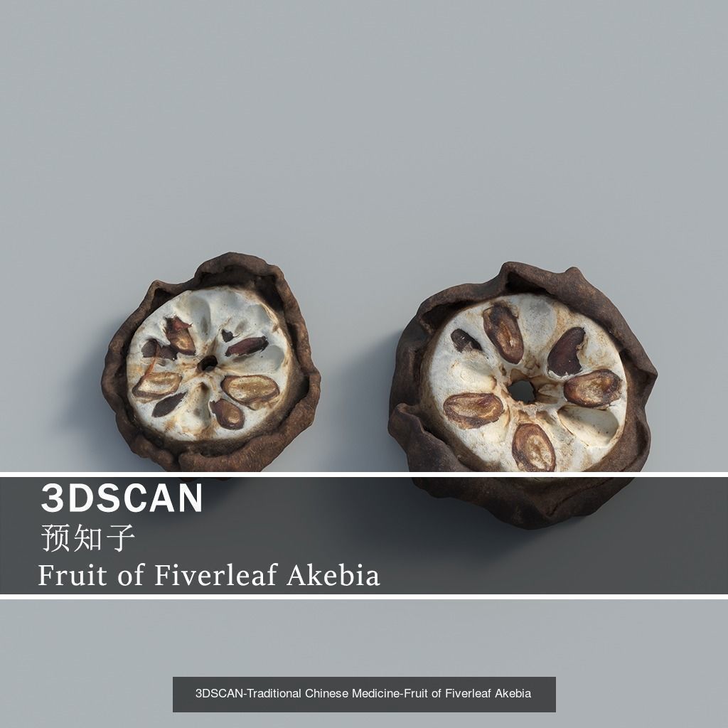 3DSCAN-Traditional Chinese Medicine 3D Model Collection 05 _7