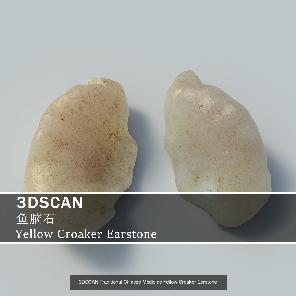3DSCAN-Traditional Chinese Medicine 3D Model Collection 05 _5