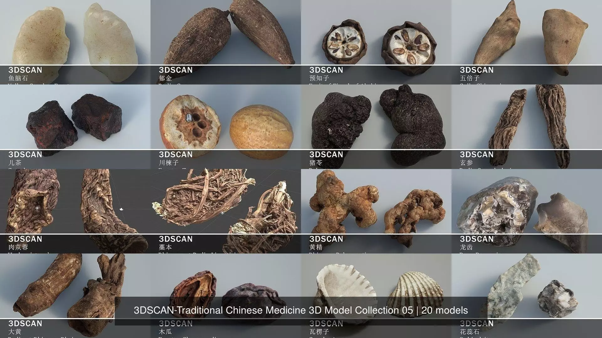 3DSCAN-Traditional Chinese Medicine 3D Model Collection 05 _0