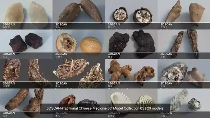 3DSCAN-Traditional Chinese Medicine 3D Model Collection 05