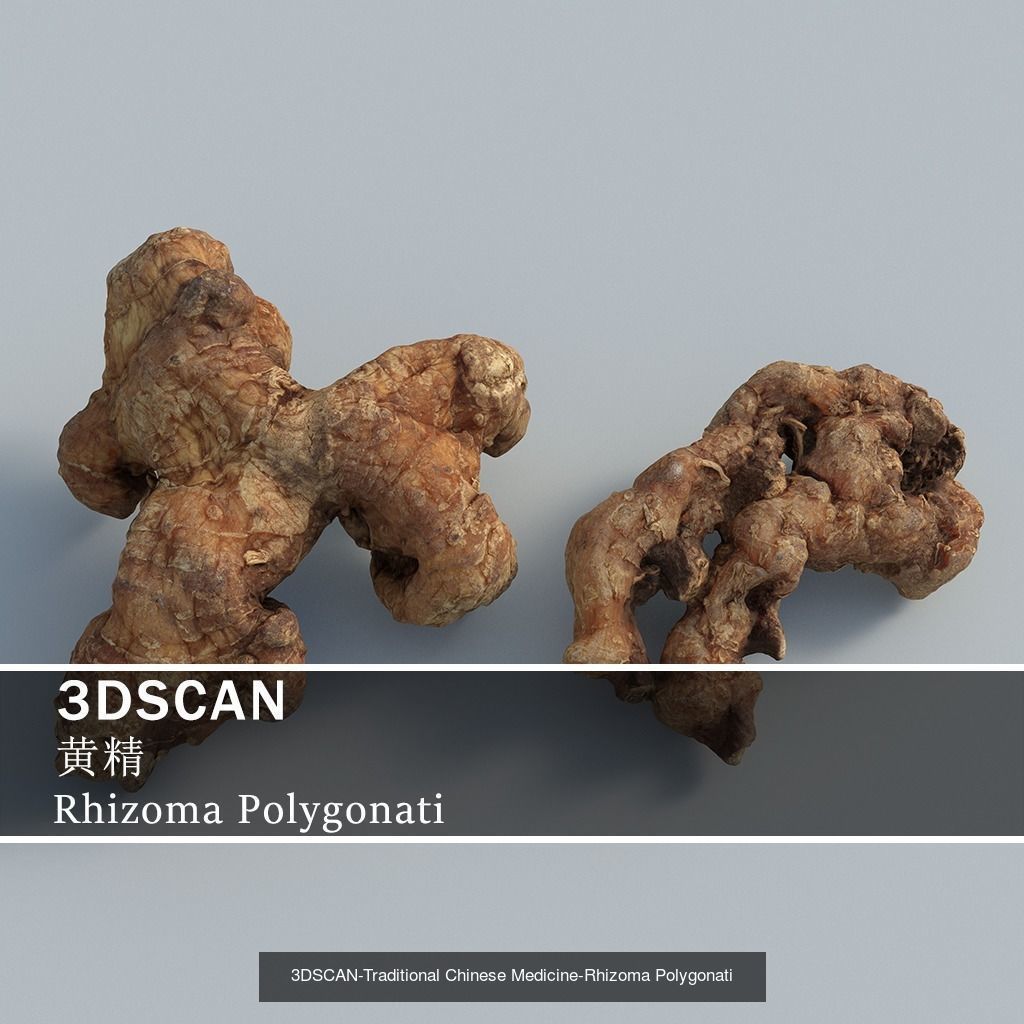 3DSCAN-Traditional Chinese Medicine 3D Model Collection 05 _15