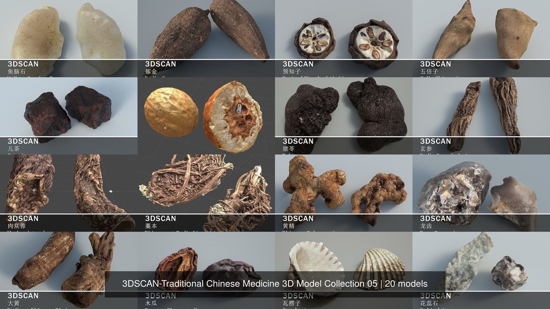 3DSCAN-Traditional Chinese Medicine 3D Model Collection 05 _1