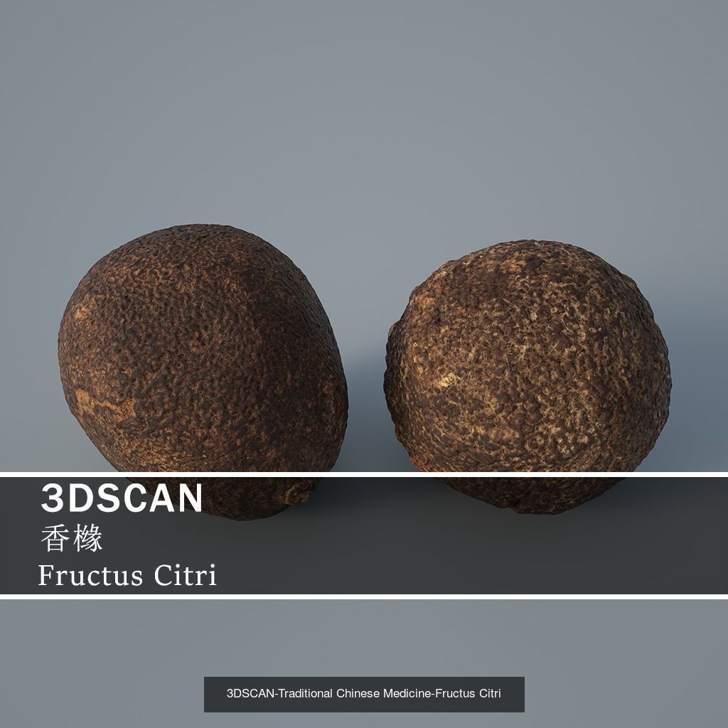 3DSCAN-Traditional Chinese Medicine 3D Model Collection 05 _23