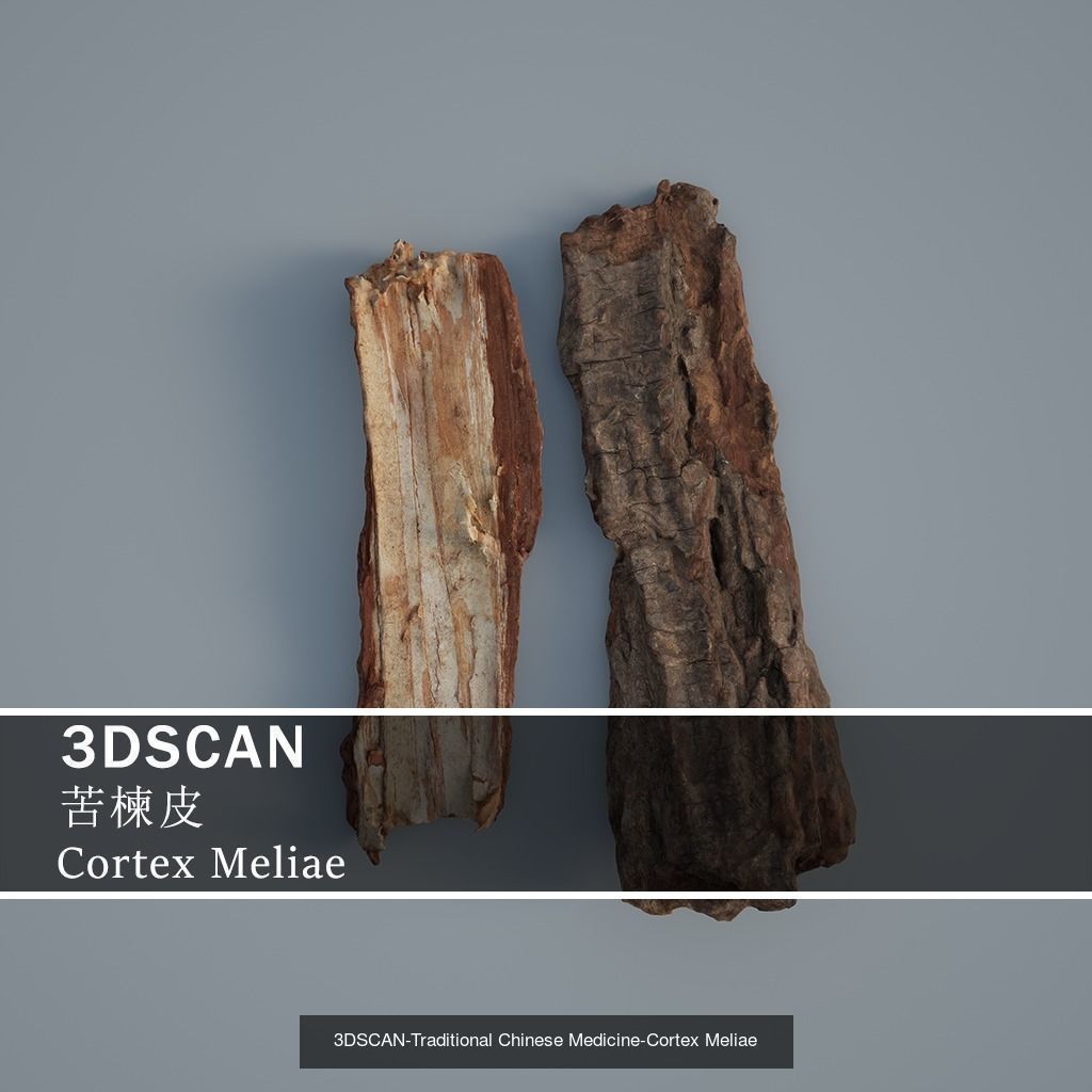 3DSCAN-Traditional Chinese Medicine 3D Model Collection 05 _21
