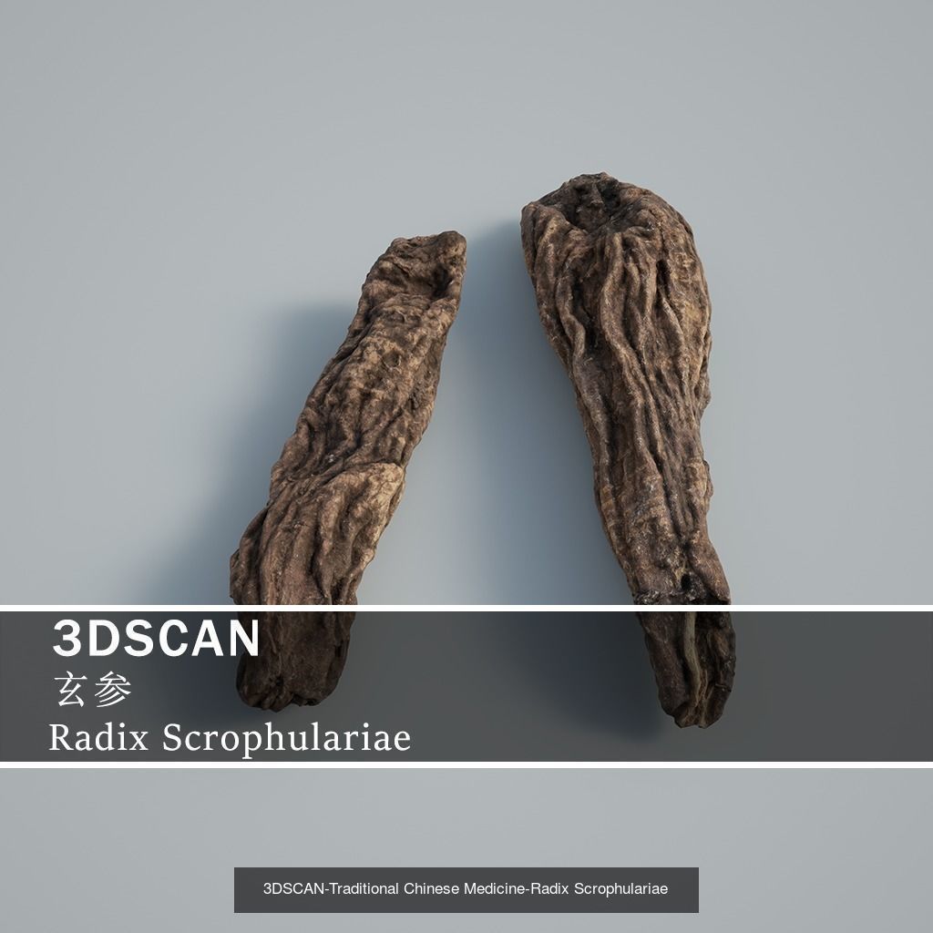 3DSCAN-Traditional Chinese Medicine 3D Model Collection 05 _12