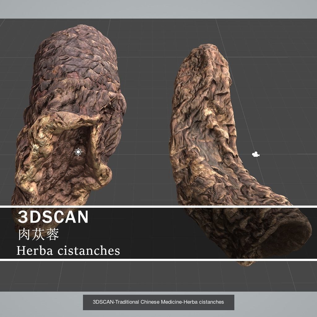 3DSCAN-Traditional Chinese Medicine 3D Model Collection 05 _13