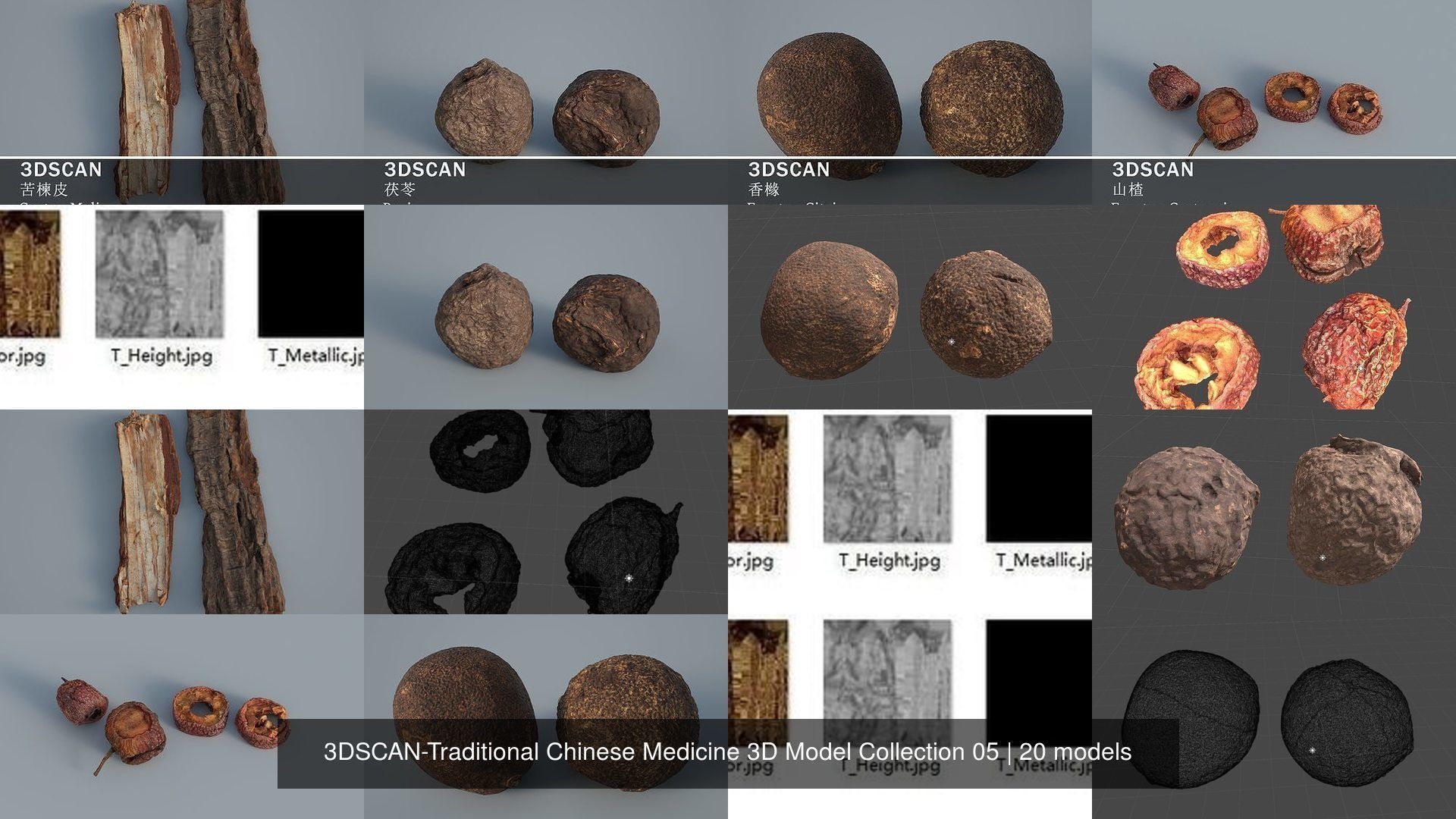 3DSCAN-Traditional Chinese Medicine 3D Model Collection 05 _3