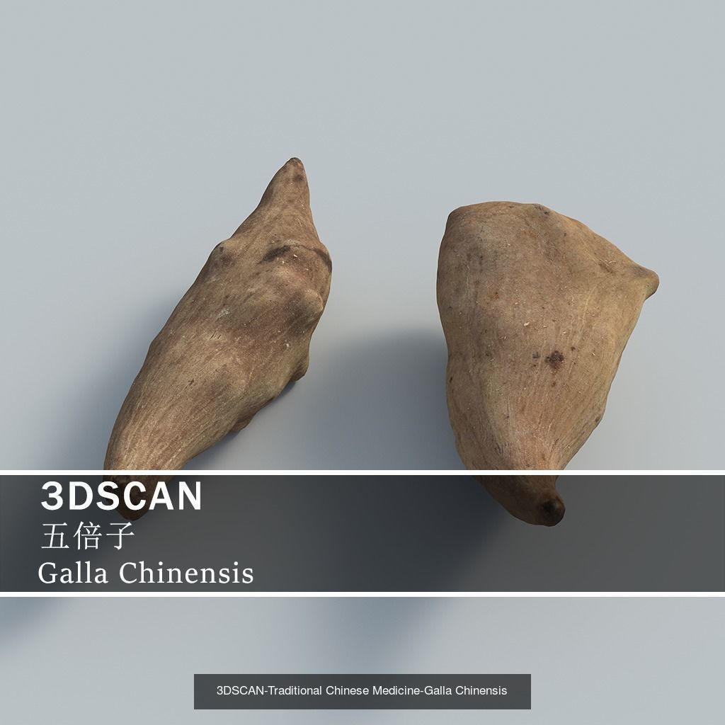 3DSCAN-Traditional Chinese Medicine 3D Model Collection 05 _8