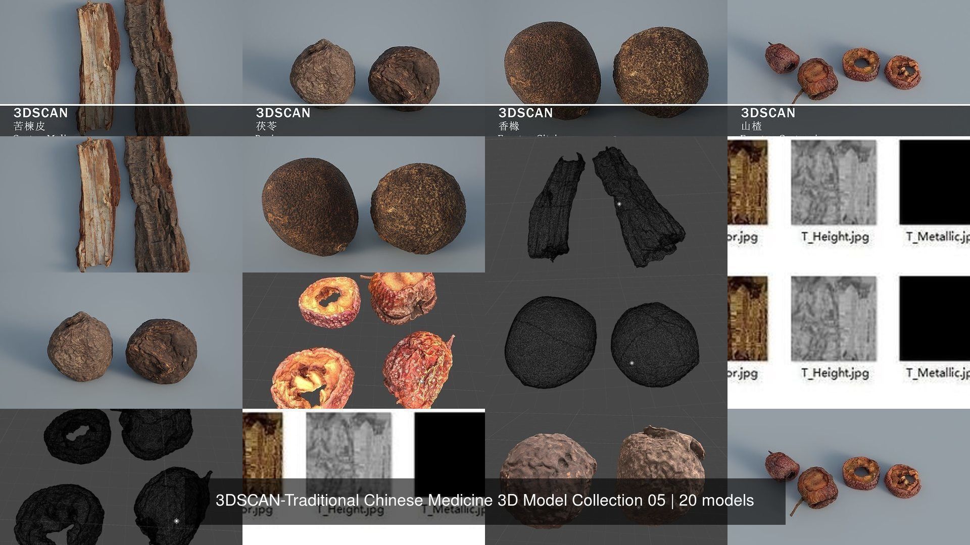 3DSCAN-Traditional Chinese Medicine 3D Model Collection 05 _2