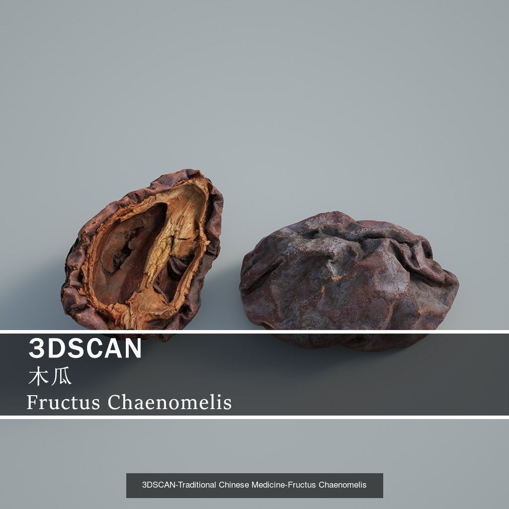 3DSCAN-Traditional Chinese Medicine 3D Model Collection 05 _18