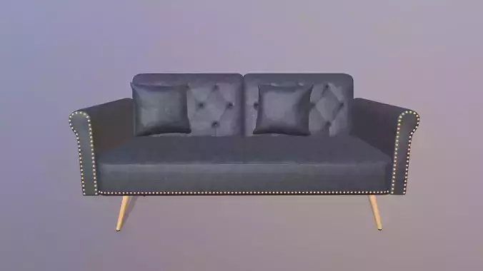 Leather SOFA