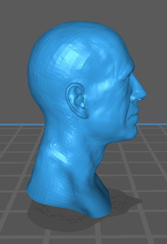 Chuck norris base head likeness 3D print model_2