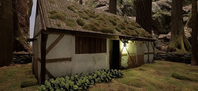 Village House in the Forest Free 3D model